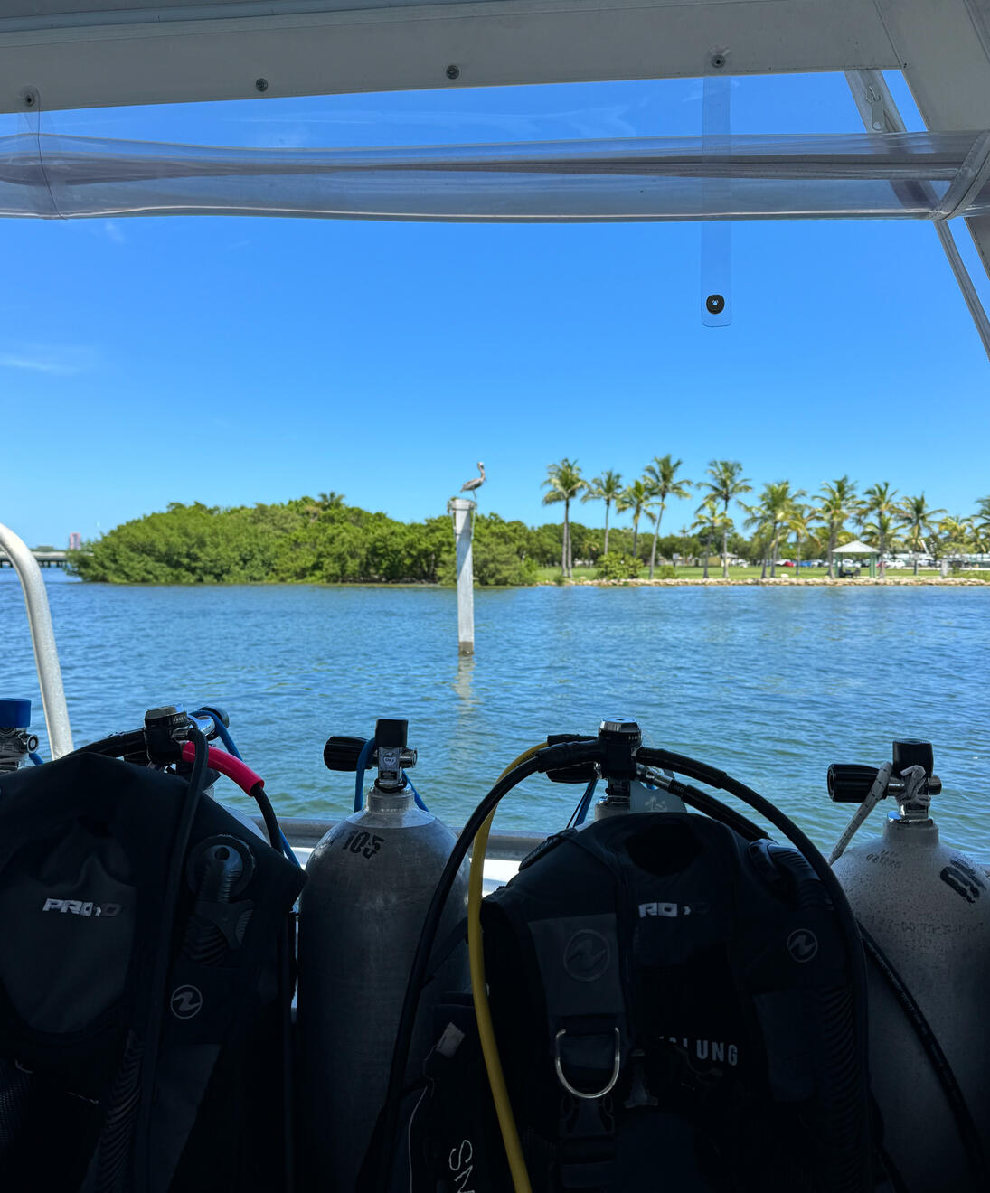 Scuba expedition, Florida 2025